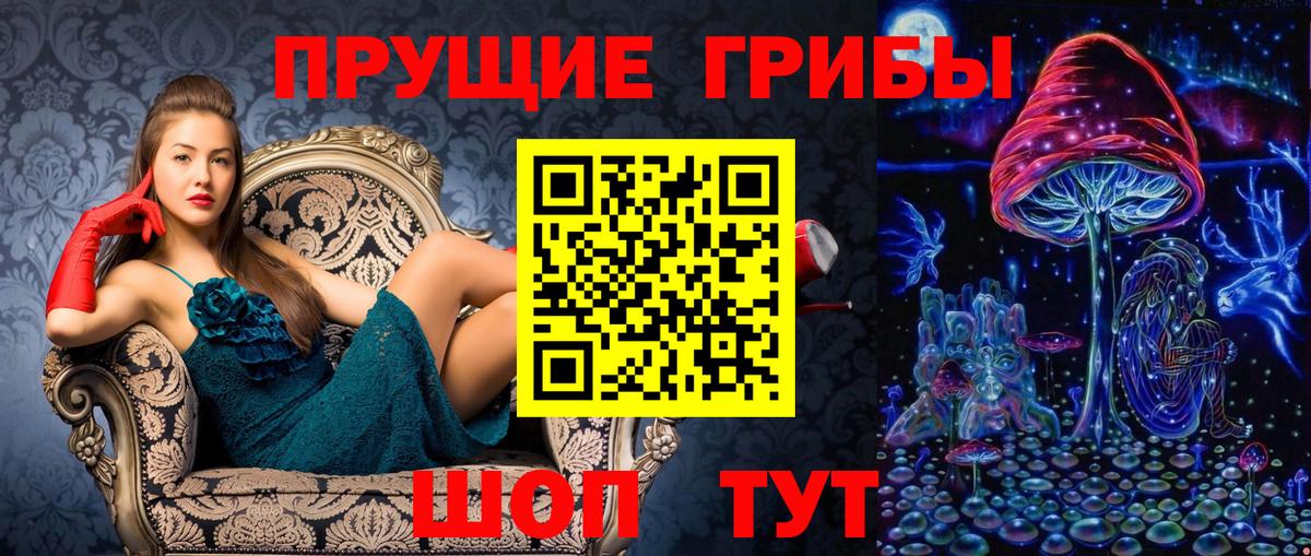 Галлюциногенные грибы Psilocybe Полысаево