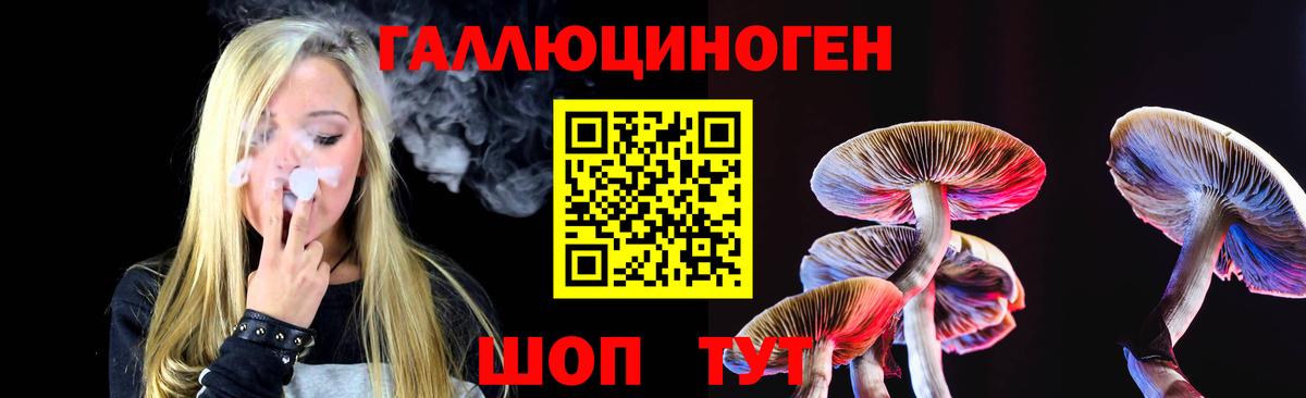 Галлюциногенные грибы Cubensis  Псилоцибиновые грибы Psilocybine cubensis  Вход с VPN  Полысаево 